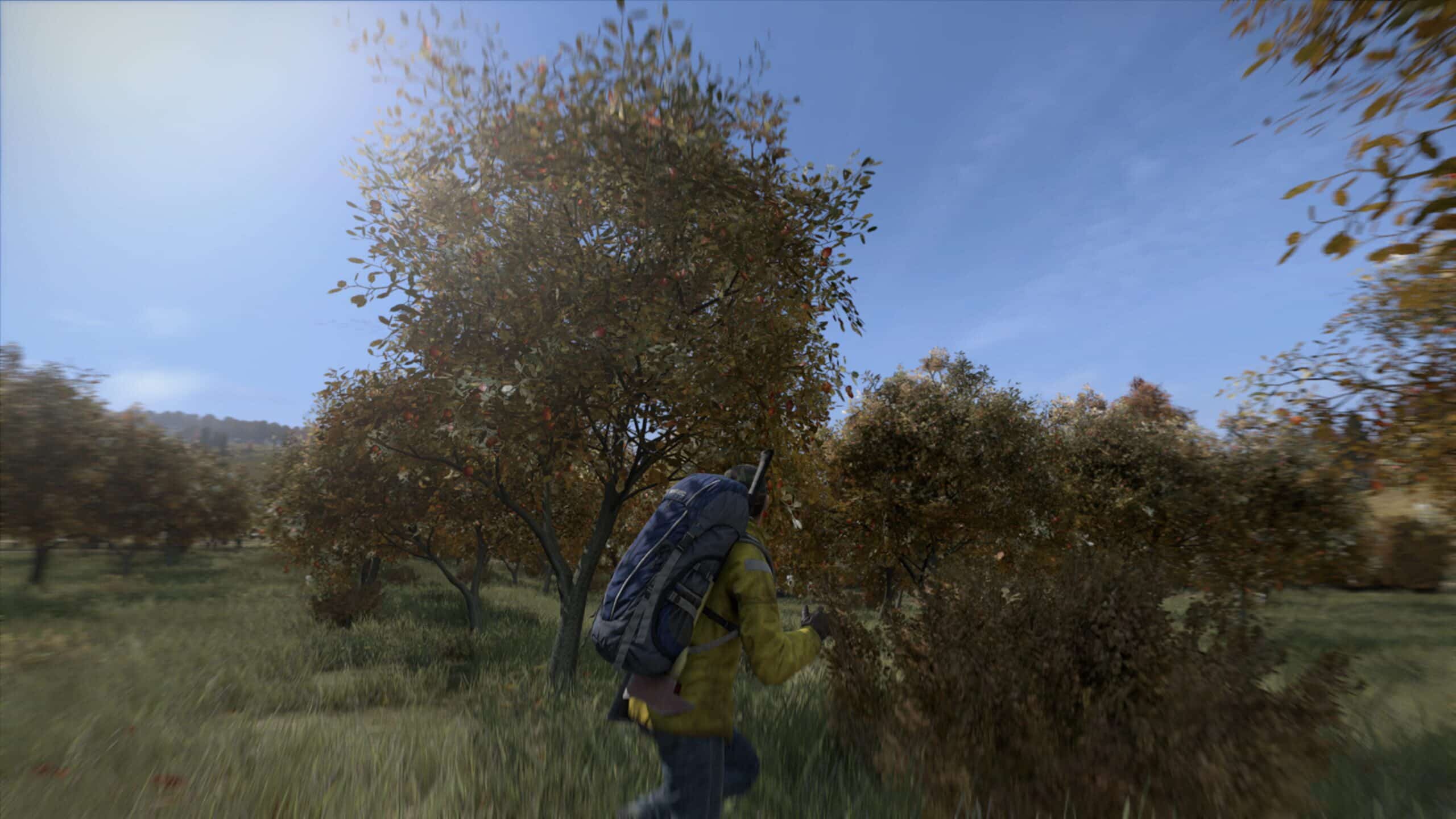 DayZ (EU)