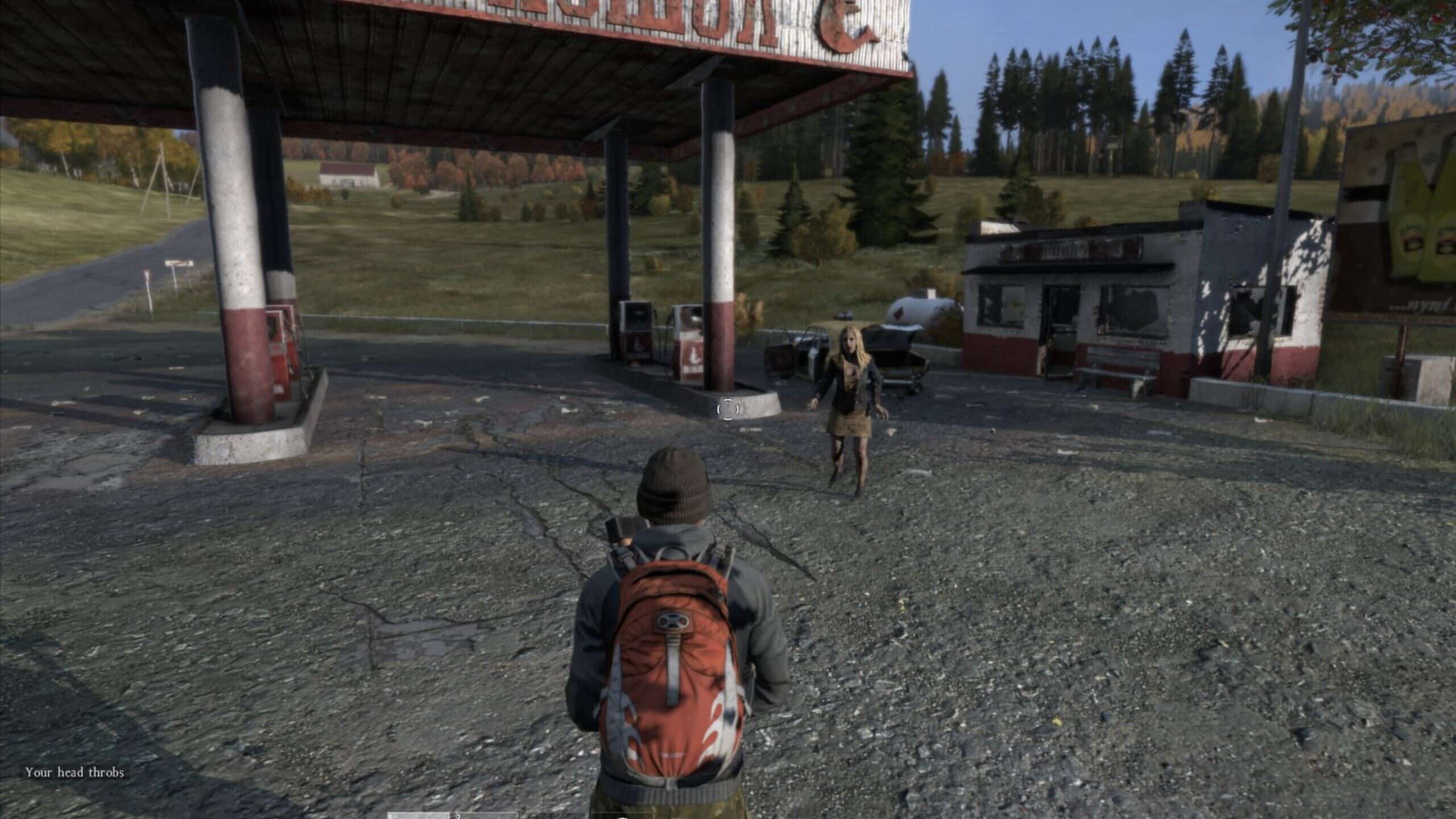 DayZ (Deluxe Edition)