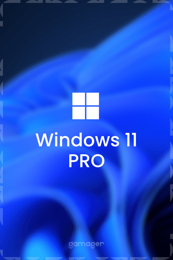 Windows 11 Pro (OEM)